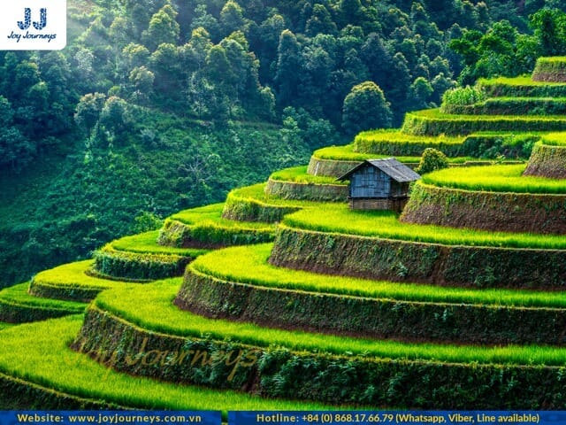 mu cang chai