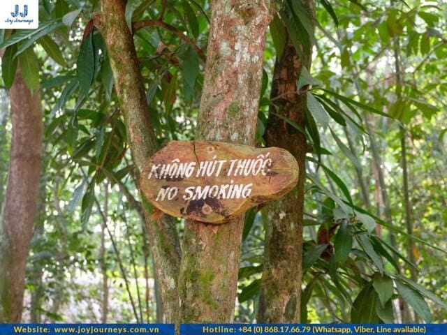 no smoking