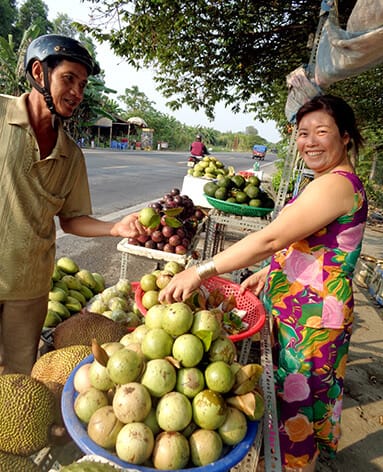 buy Mother's milk fruit