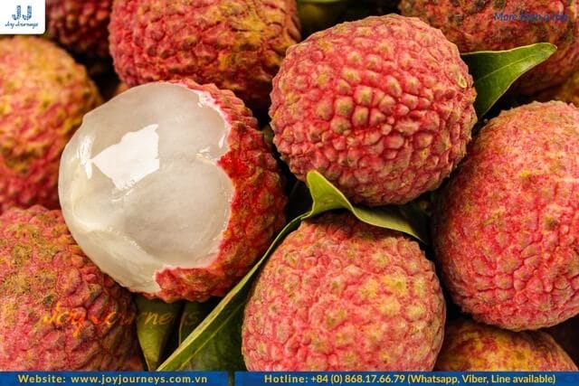 lychee vietnamese cuisine