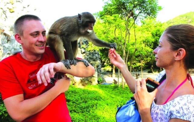 visitor and monkey