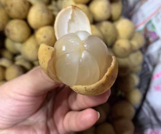 bon bon Viet Nam