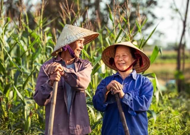 Conical Hat Vietnam