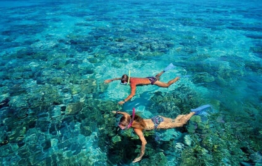 Scuba diving to see coral reefs in Da Nang beaches.