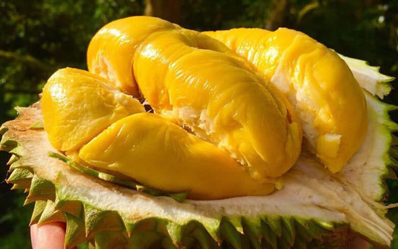 Durian Vietnam