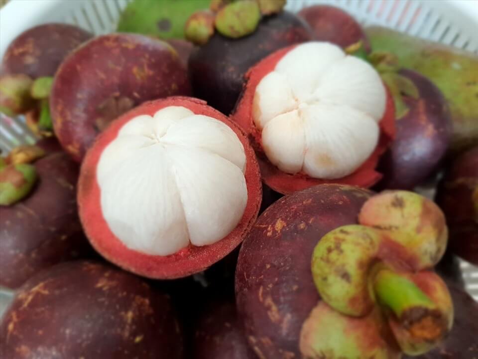 mangosteen