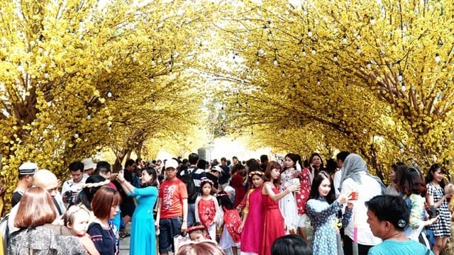 spring in vietnam