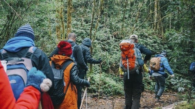 You can participate in trekking activities that are both good for your health and allow you to explore the beauty of Vietnam, but be careful in choosing the time and teams to join.