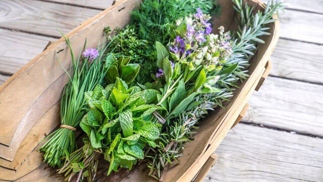 Vietnamese vegetables are very good for health