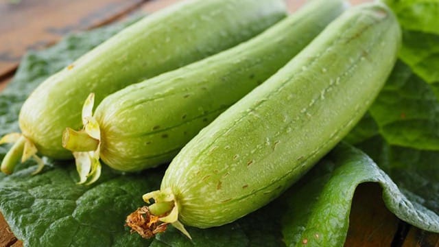 Sponge Gourd Has Tender Flesh And Mild Flavor