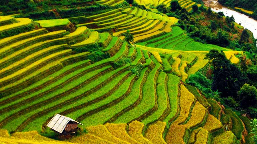 Own Feeling About Asmosphere, Culture And People Of Sapa