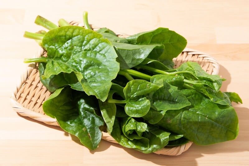 magic of malabar spinach