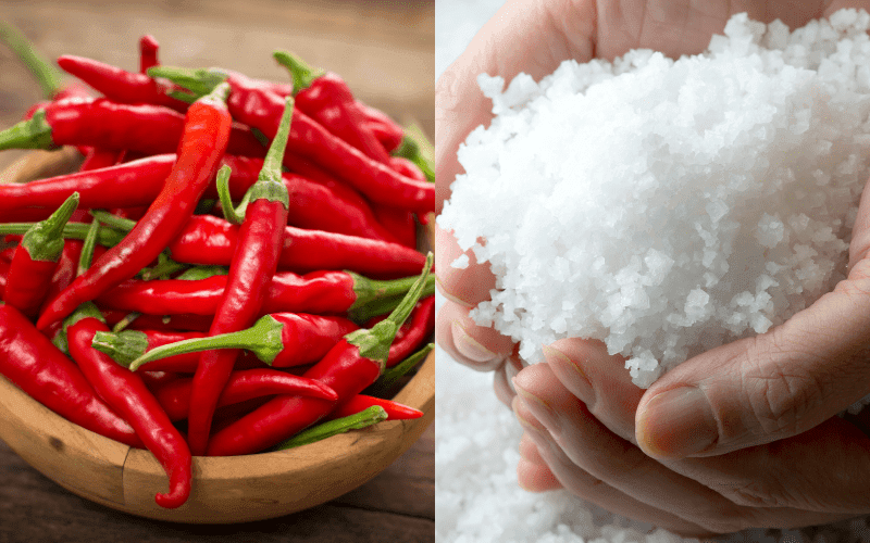 Simple Ingredients For Your Chilli Salt