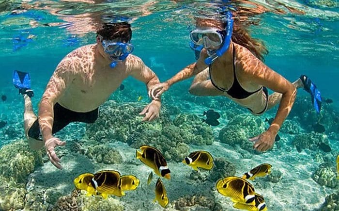 Diving in Phu Quoc