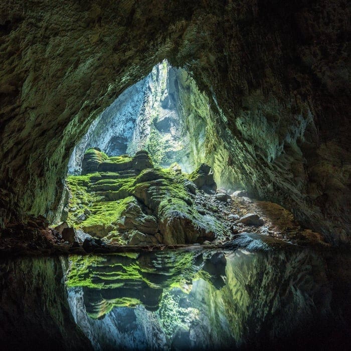 Nature in the Cave