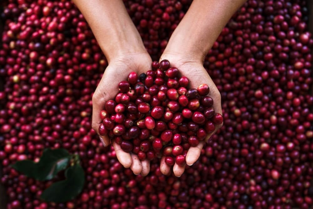 Cherry Coffee