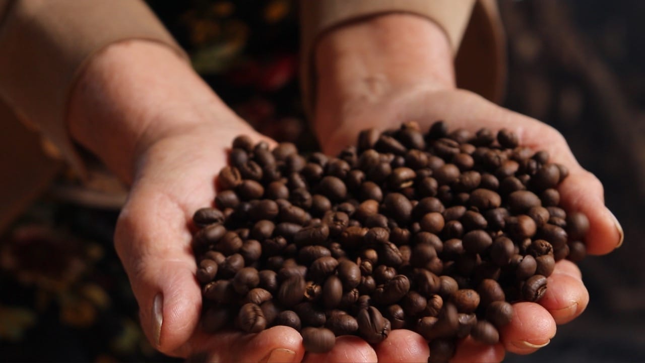 Vietnam Coffee Bean