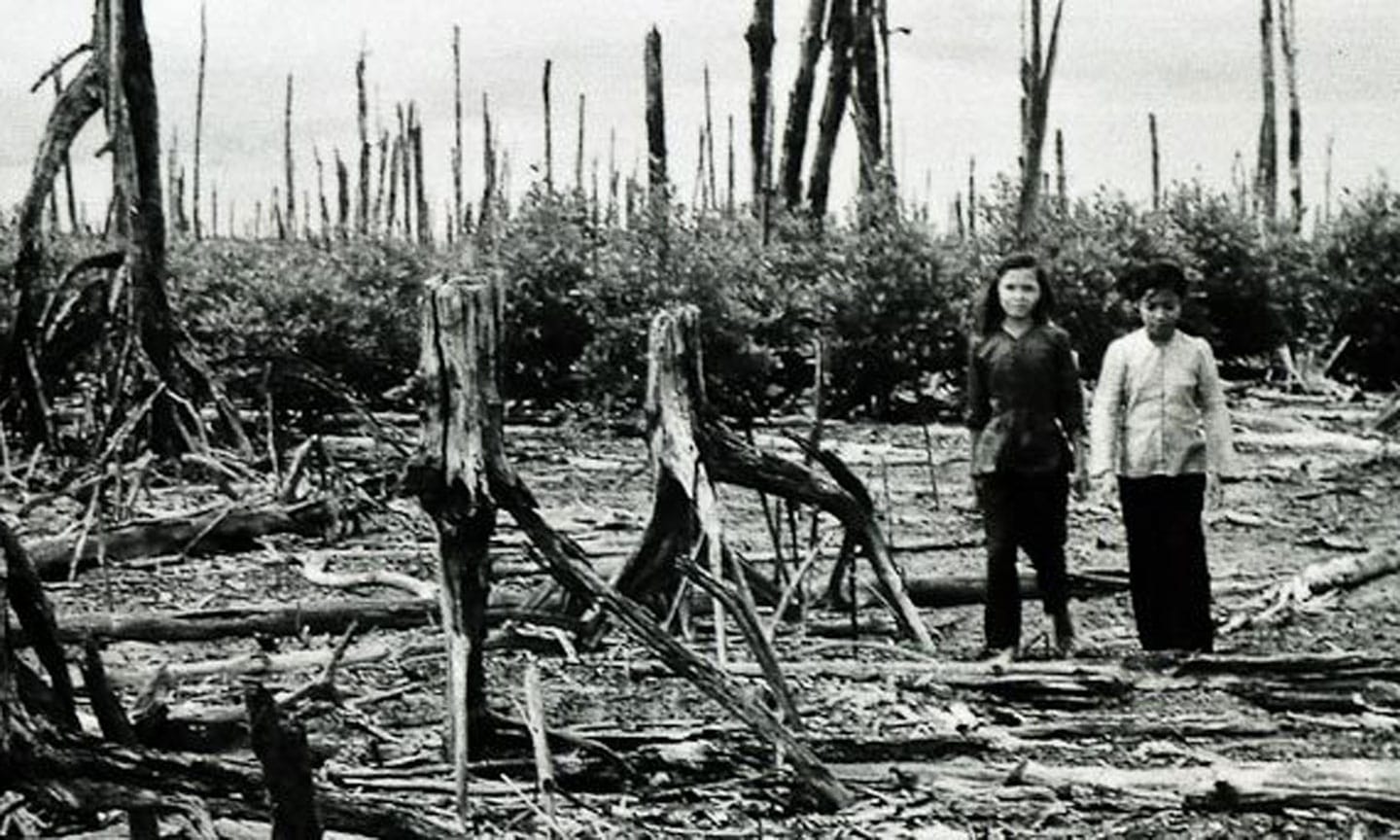 after the war cu chi tunnels