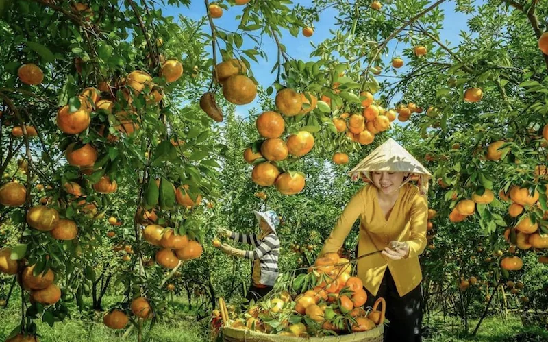 Mekong Delta Small Group Tour: Eco-Adventure into Local Life