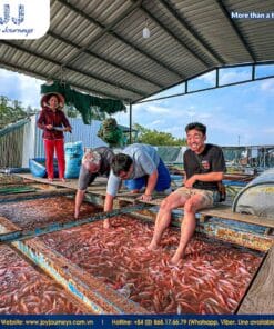 2-Day Package Tour: Mekong Delta + Saigon and Cu Chi Tunnels