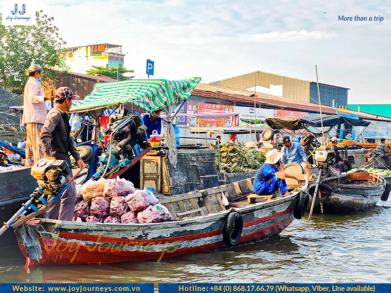 Mekong Delta Tour: Rural Life Immersion